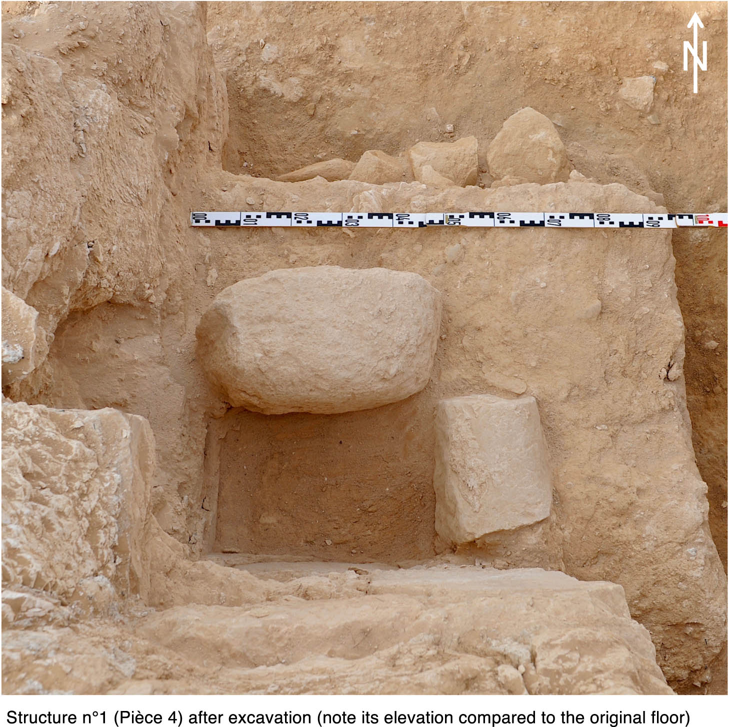 تفسير رؤية العظام في المنام