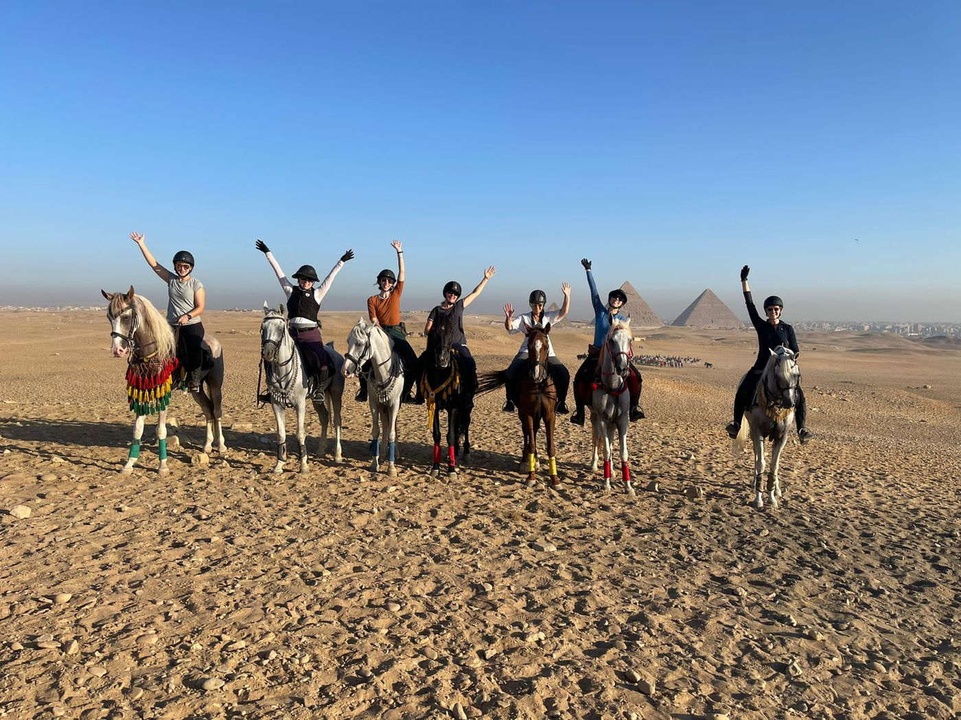 تفسير رؤية الحصان في المنام: دلالات متعددة وأسرار خفية