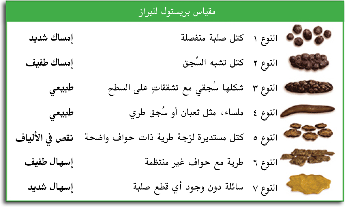 تفسير حلم البراز للعزباء – معنى البراز في المنام بالتفصيل