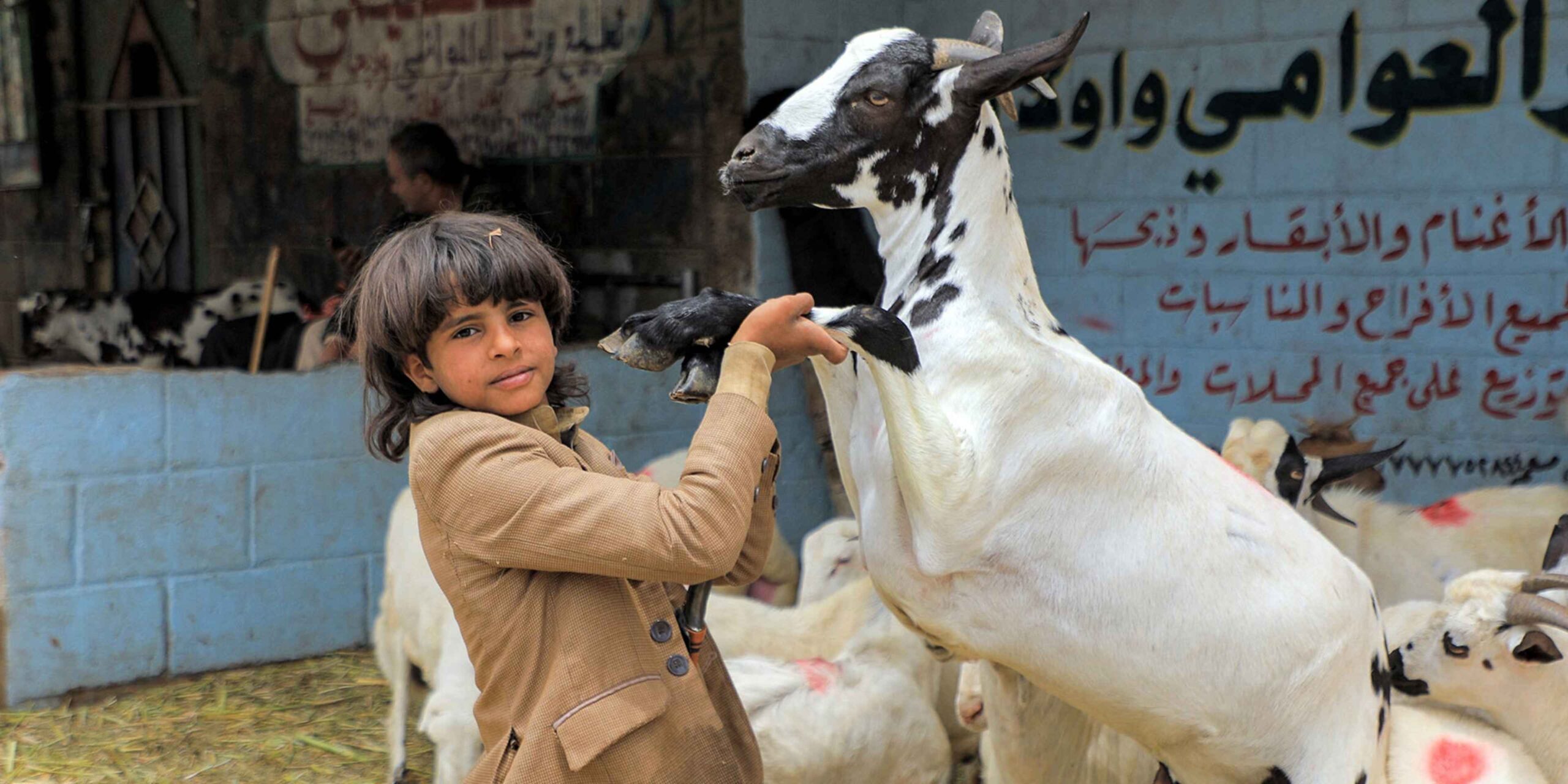 تفسير رؤية الذبح والأضاحي في المنام