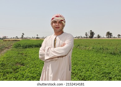 بحث عن الفلاح